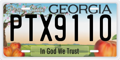GA license plate PTX9110