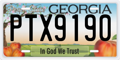 GA license plate PTX9190