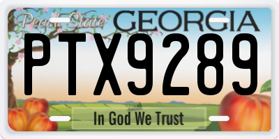 GA license plate PTX9289