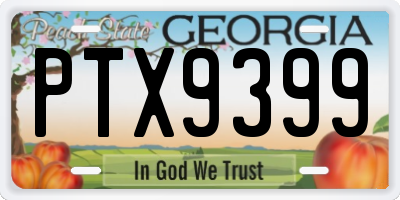 GA license plate PTX9399