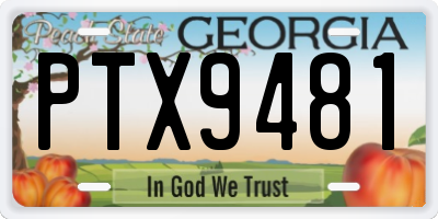 GA license plate PTX9481