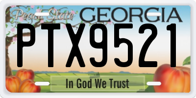 GA license plate PTX9521