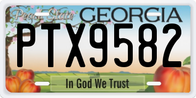 GA license plate PTX9582