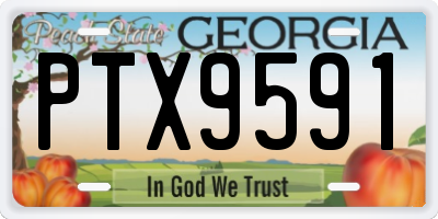 GA license plate PTX9591