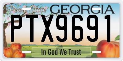 GA license plate PTX9691