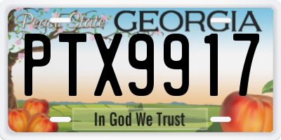 GA license plate PTX9917