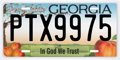 GA license plate PTX9975