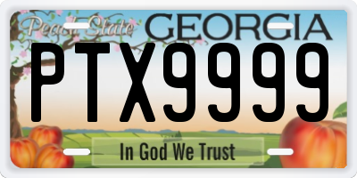 GA license plate PTX9999