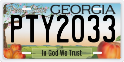 GA license plate PTY2033
