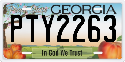 GA license plate PTY2263