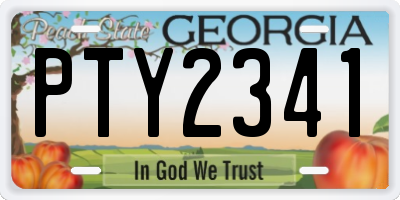 GA license plate PTY2341