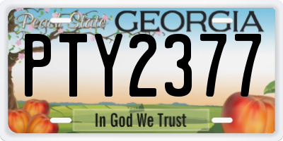GA license plate PTY2377