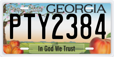 GA license plate PTY2384