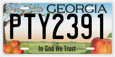GA license plate PTY2391