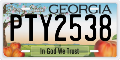 GA license plate PTY2538