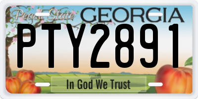 GA license plate PTY2891