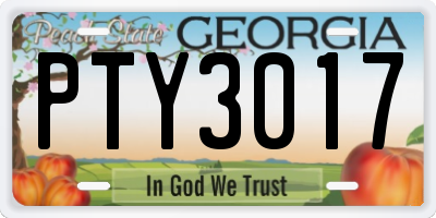 GA license plate PTY3017