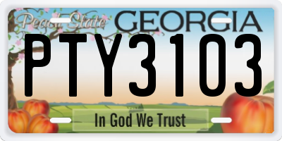 GA license plate PTY3103