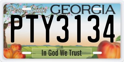 GA license plate PTY3134