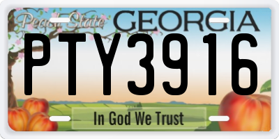 GA license plate PTY3916