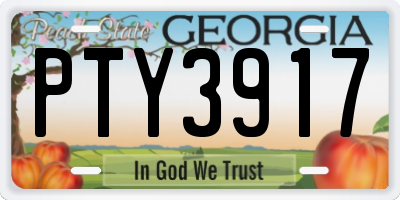 GA license plate PTY3917