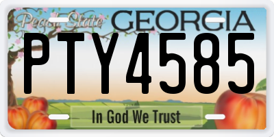 GA license plate PTY4585