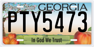 GA license plate PTY5473