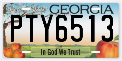 GA license plate PTY6513
