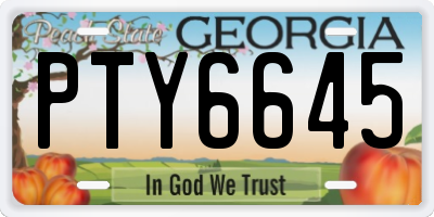 GA license plate PTY6645