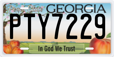 GA license plate PTY7229