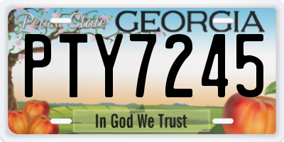 GA license plate PTY7245