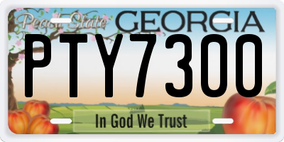 GA license plate PTY7300