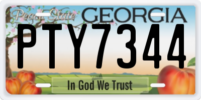 GA license plate PTY7344