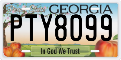 GA license plate PTY8099