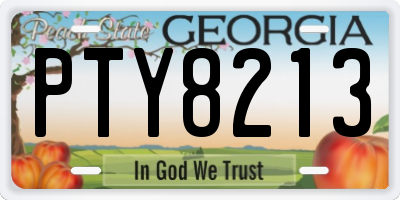 GA license plate PTY8213