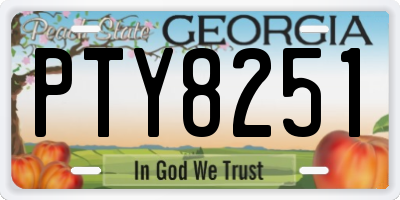 GA license plate PTY8251