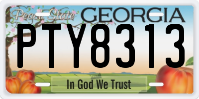 GA license plate PTY8313