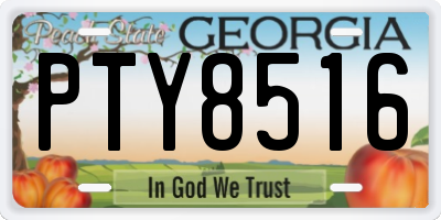 GA license plate PTY8516
