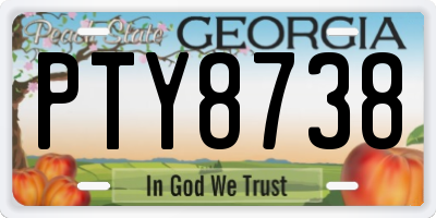 GA license plate PTY8738
