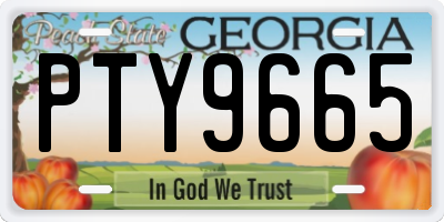 GA license plate PTY9665