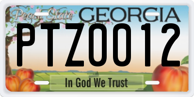 GA license plate PTZ0012