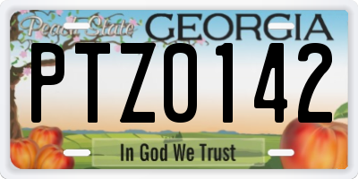 GA license plate PTZ0142