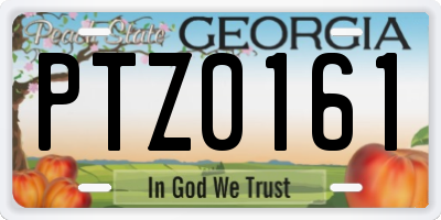 GA license plate PTZ0161