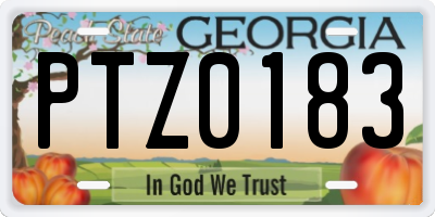 GA license plate PTZ0183