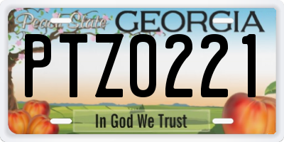 GA license plate PTZ0221