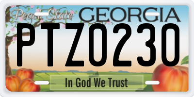 GA license plate PTZ0230