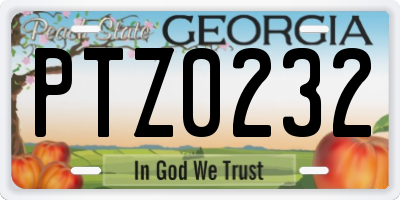 GA license plate PTZ0232