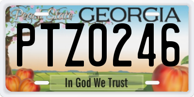 GA license plate PTZ0246