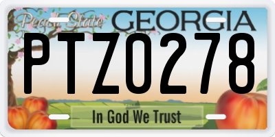 GA license plate PTZ0278