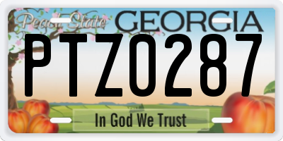 GA license plate PTZ0287